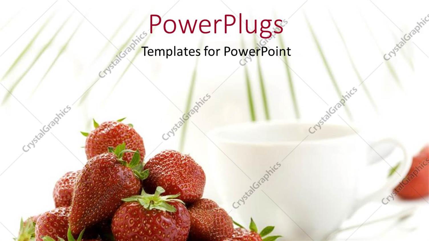 Premium Template for PowerPoint & Google Slides 