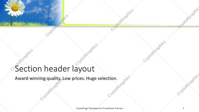 Section Header presentation slide layout
