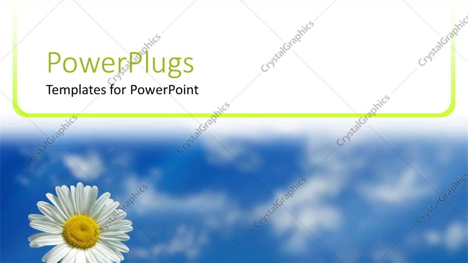 Premium Template for PowerPoint & Google Slides 