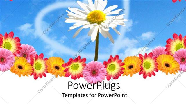  Presentation with heart flowers - White daisy surrounded by colorful flowers in center of heart shaped cloud