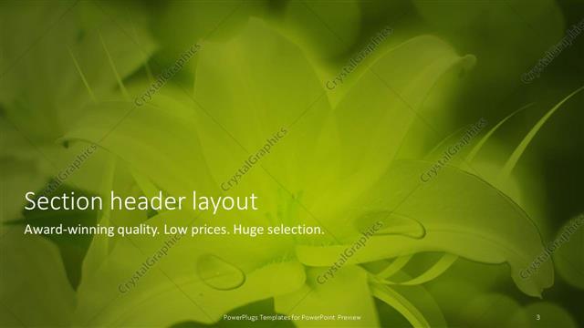 Section Header presentation slide layout