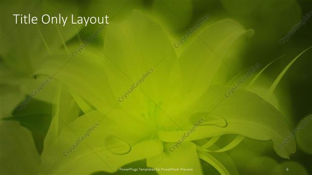 Title Only presentation slide layout