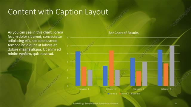 Content with Caption presentation slide layout