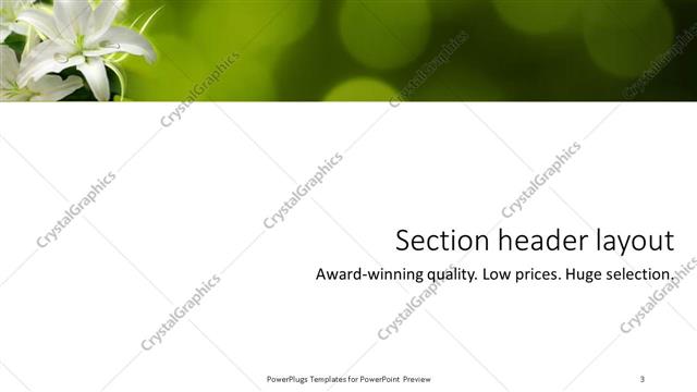 Section Header presentation slide layout