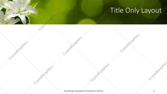 Title Only presentation slide layout