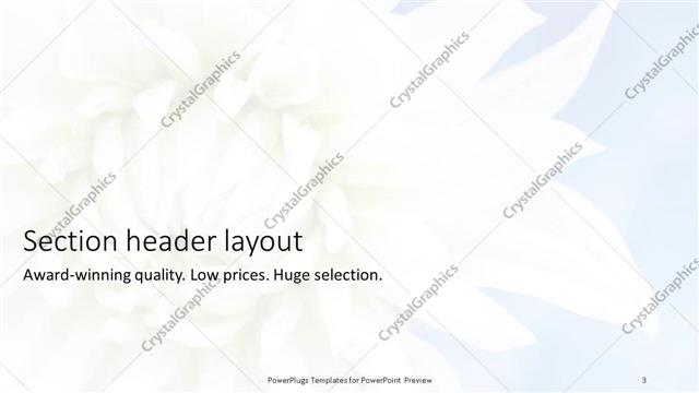 Section Header presentation slide layout