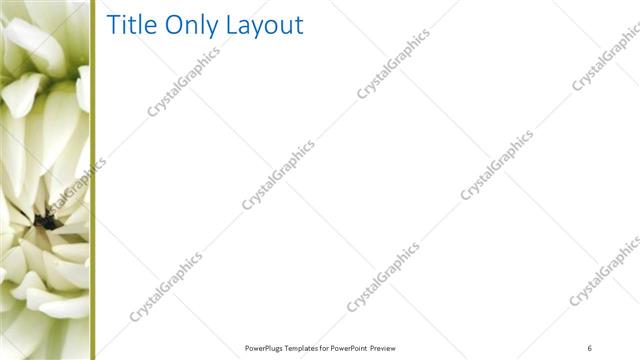 Title Only presentation slide layout