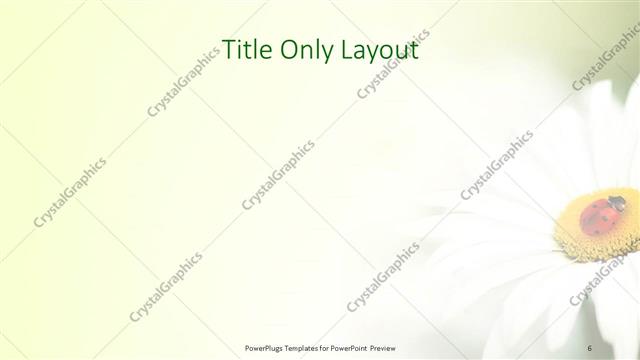 Title Only presentation slide layout
