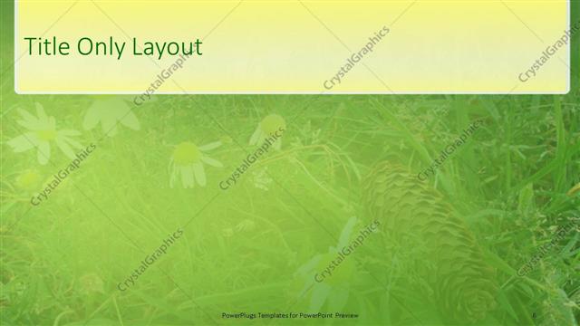 Title Only presentation slide layout