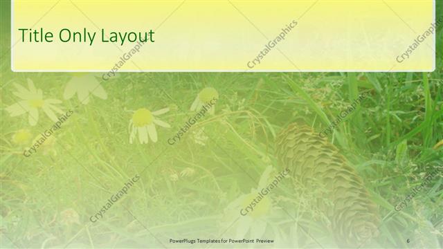 Title Only presentation slide layout