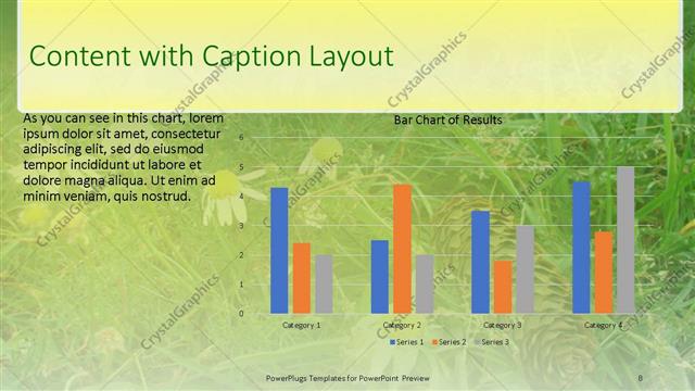 Content with Caption presentation slide layout