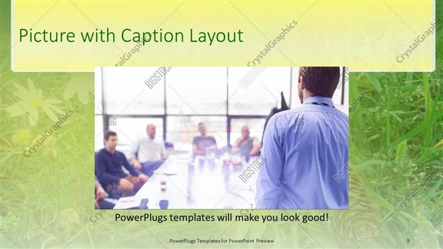Picture with Caption presentation slide layout