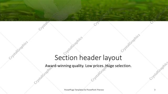 Section Header presentation slide layout