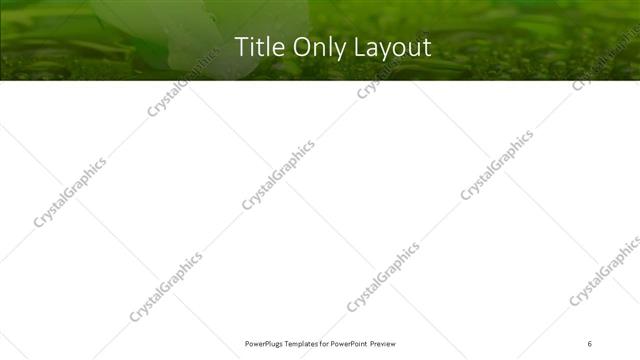 Title Only presentation slide layout