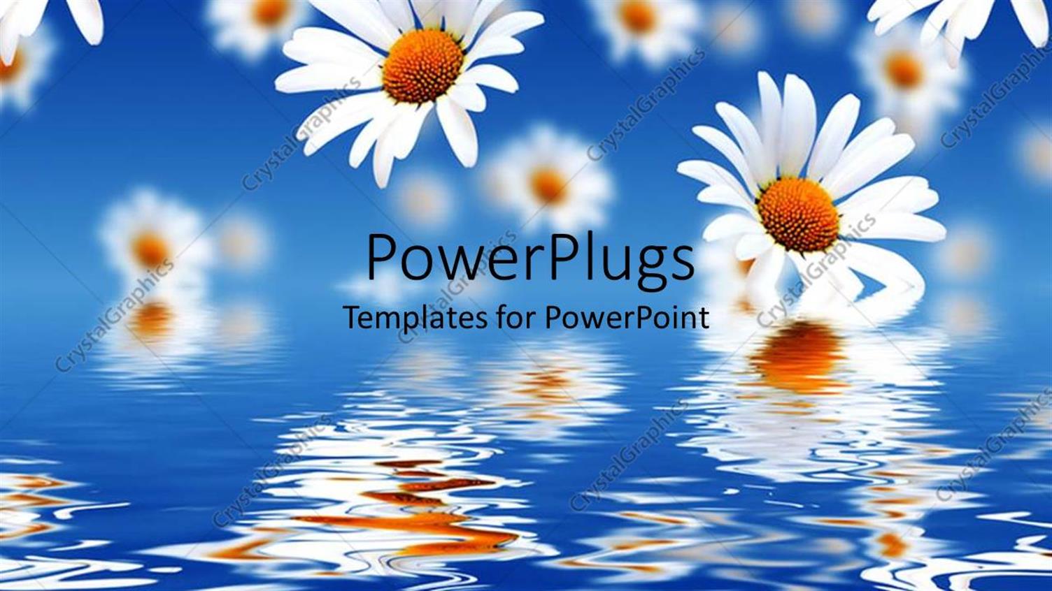 Premium Template for PowerPoint & Google Slides 