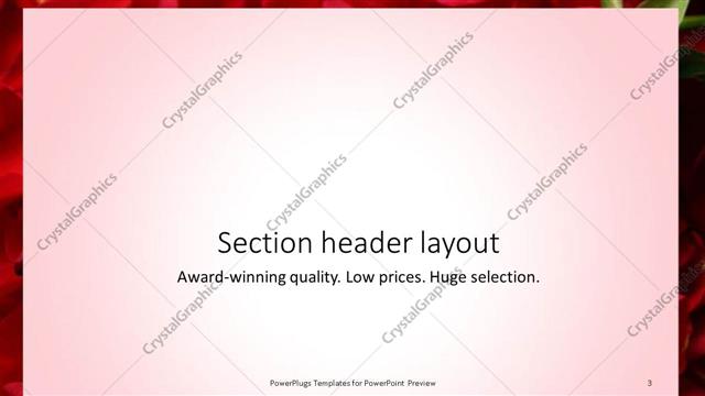 Section Header presentation slide layout