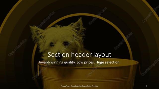 Section Header presentation slide layout
