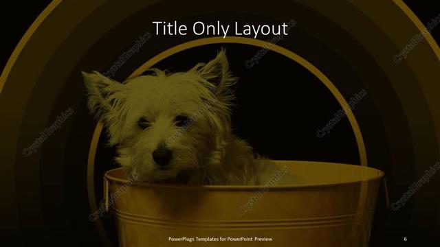 Title Only presentation slide layout