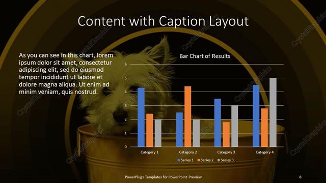 Content with Caption presentation slide layout
