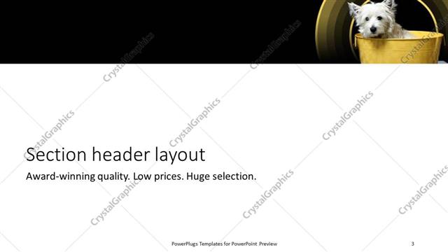 Section Header presentation slide layout