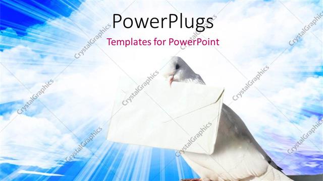 Presentation with peace - White pigeon holding letter of peace with blue sky