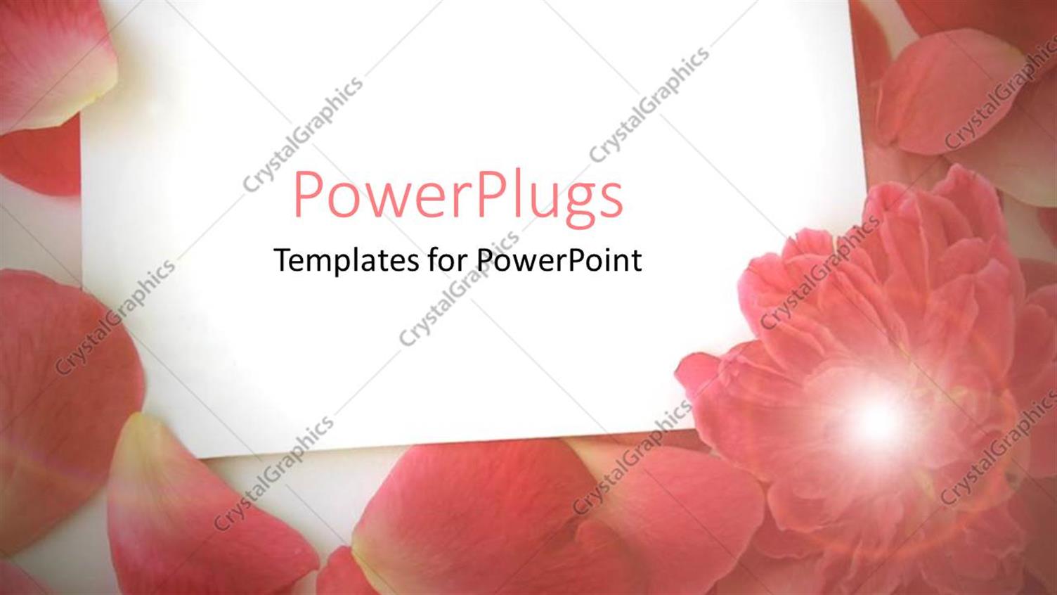 Premium Template for PowerPoint & Google Slides 