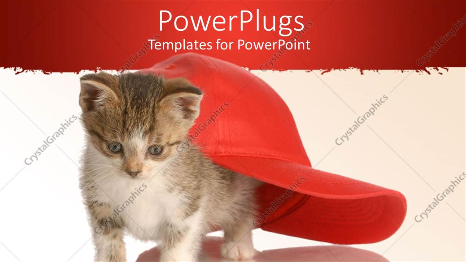 Premium Template for PowerPoint & Google Slides 