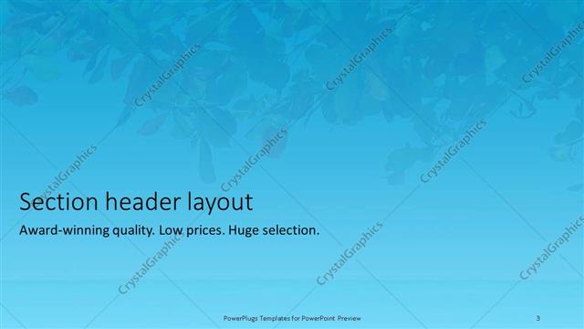 Section Header presentation slide layout