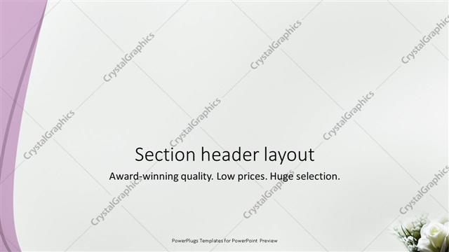Section Header presentation slide layout