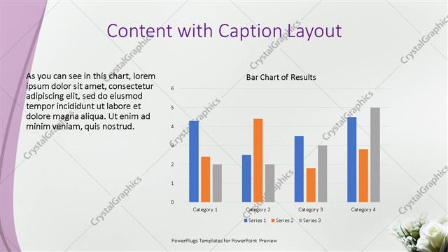 Content with Caption presentation slide layout