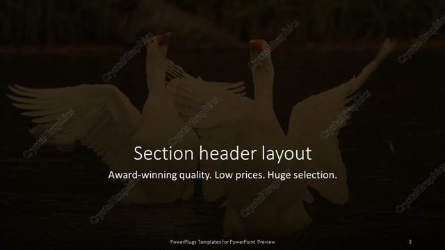 Section Header presentation slide layout