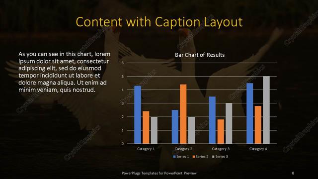 Content with Caption presentation slide layout