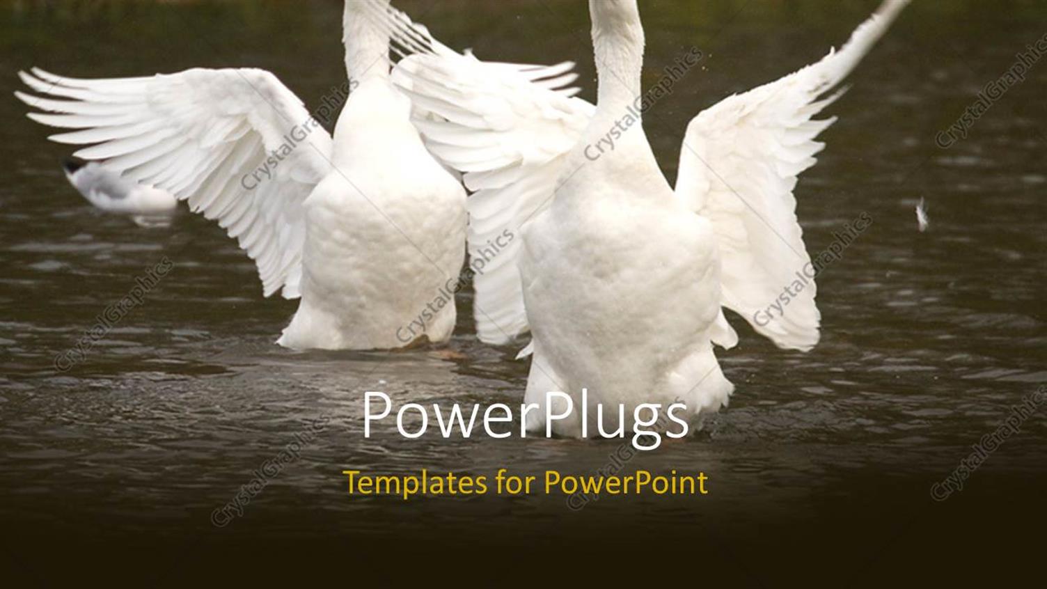 Premium Template for PowerPoint & Google Slides 