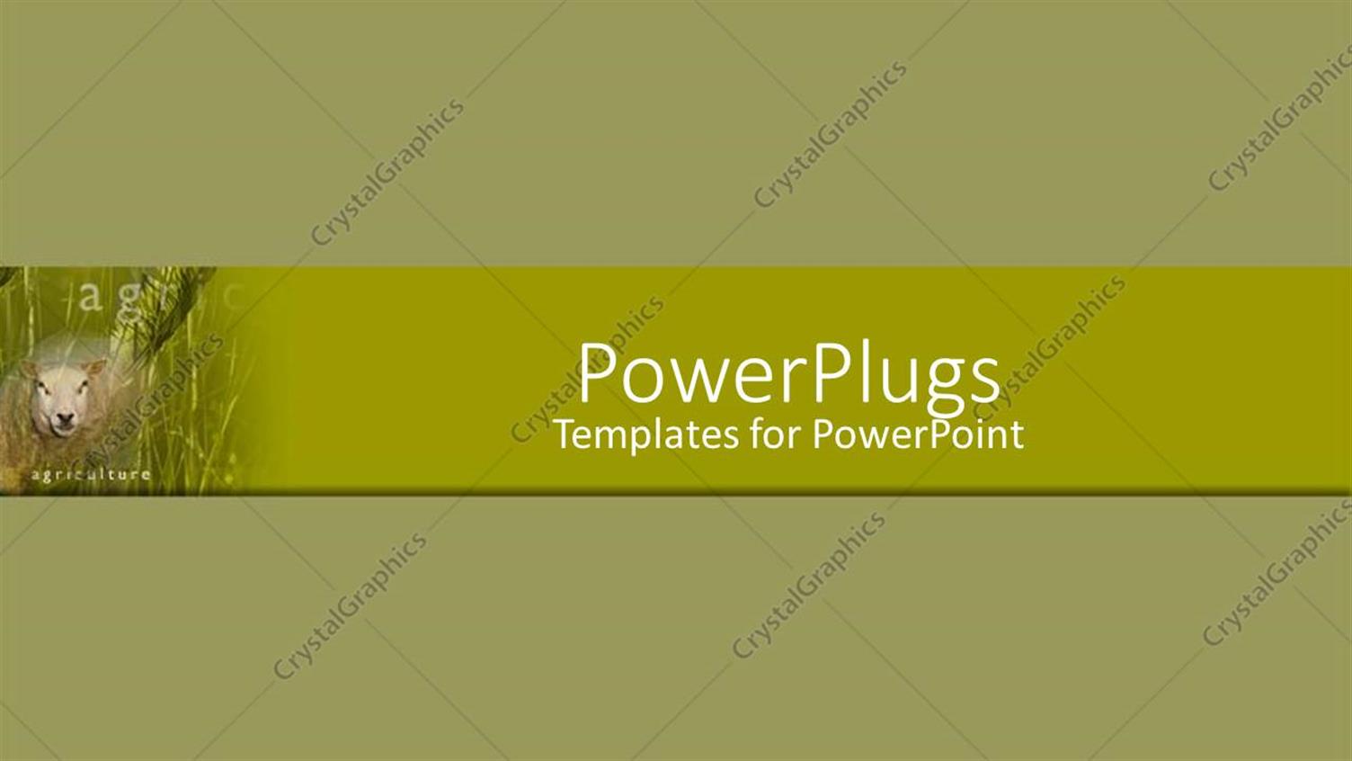 Premium Template for PowerPoint & Google Slides 