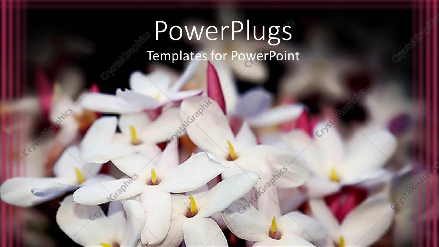 Premium Template for PowerPoint & Google Slides 