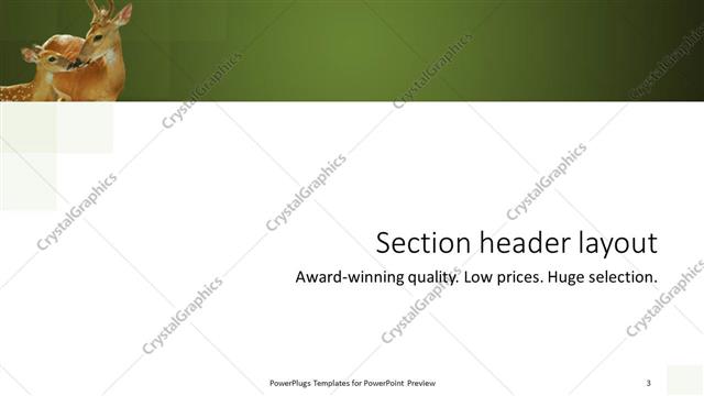 Section Header presentation slide layout