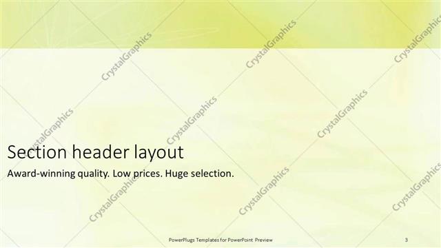 Section Header presentation slide layout