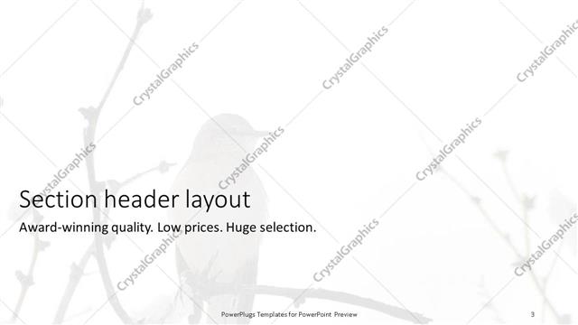 Section Header presentation slide layout