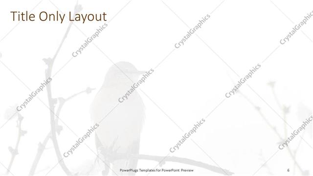 Title Only presentation slide layout