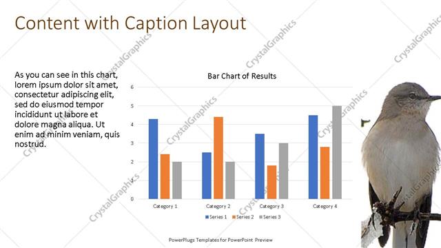 Content with Caption presentation slide layout