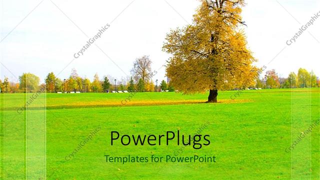  Presentation with wide - A wide leveled green field with lots of trees