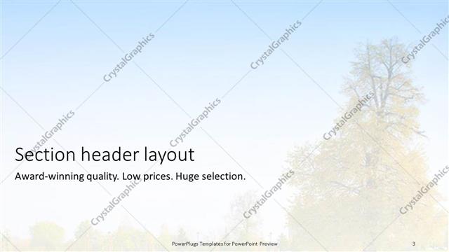 Section Header presentation slide layout