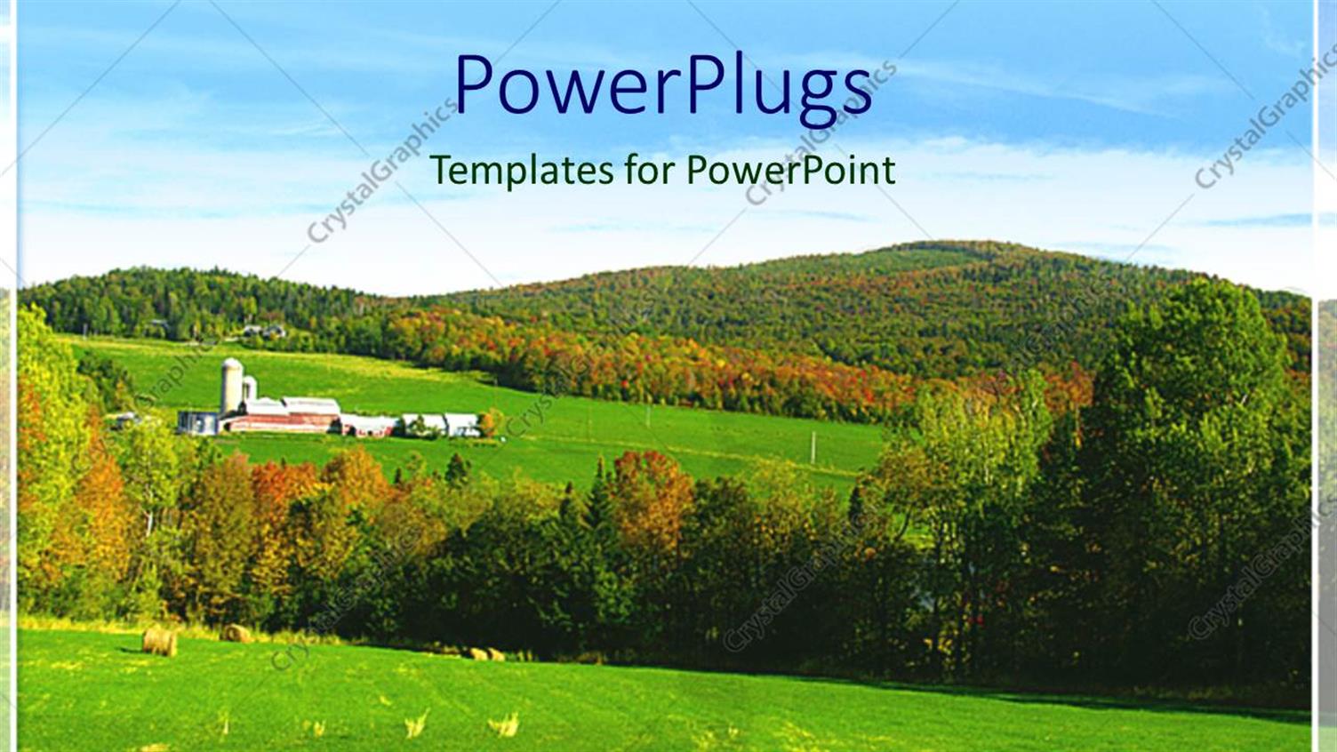 Premium Template for PowerPoint & Google Slides 