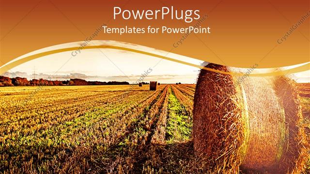  Presentation with wide - A wide wheat field showing a roll over a clear sunset sky