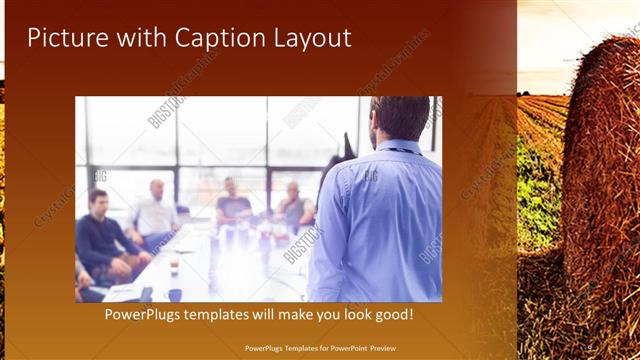 Picture with Caption presentation slide layout