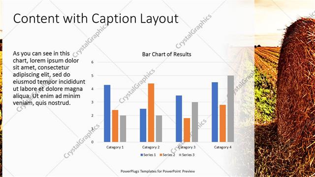 Content with Caption presentation slide layout
