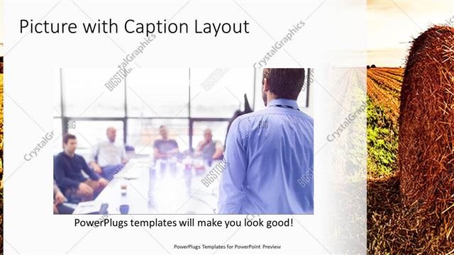 Picture with Caption presentation slide layout