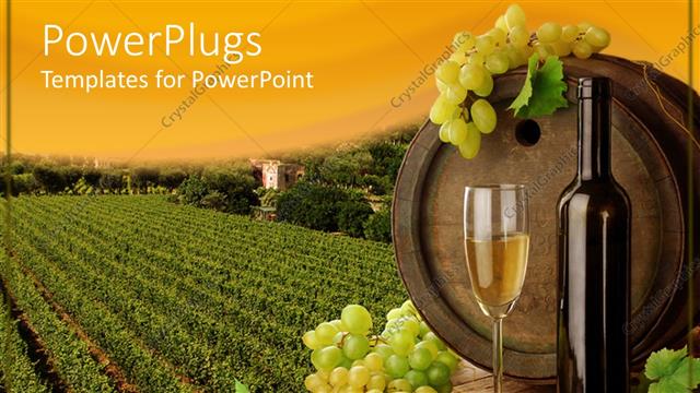  Presentation with wine - Wine placed on table with old wine barrel on the background of vineyard and sunset