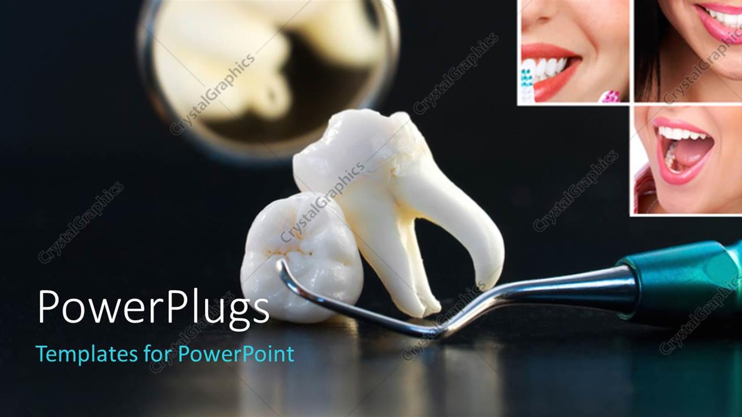 Premium Template for PowerPoint & Google Slides 