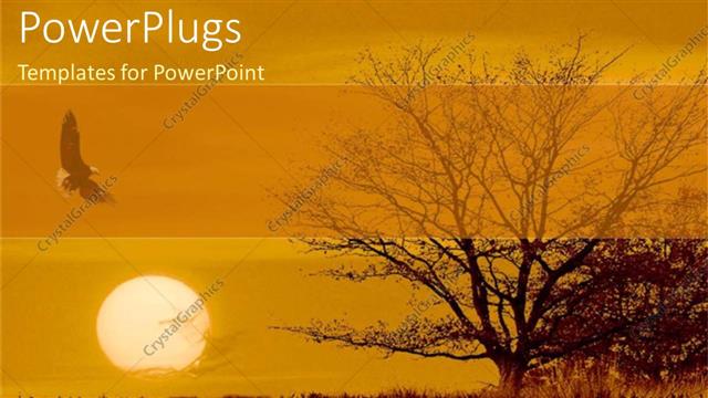  Presentation with tree river - Withered tree and Eagle with sunset over river surface?